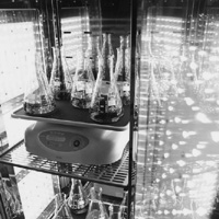 Komory klimatyczne i fitotronowe, inkubatory atmosfery zmodyfikowanej